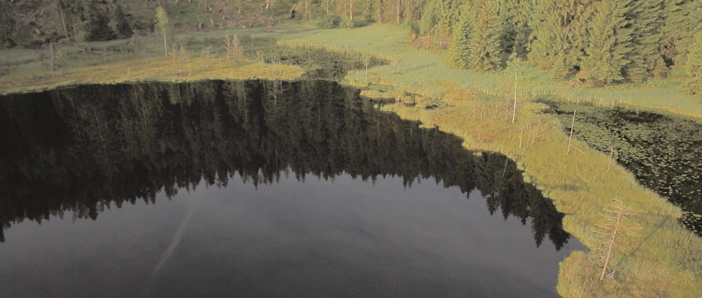 lake huzenbacher black forest aerial drone